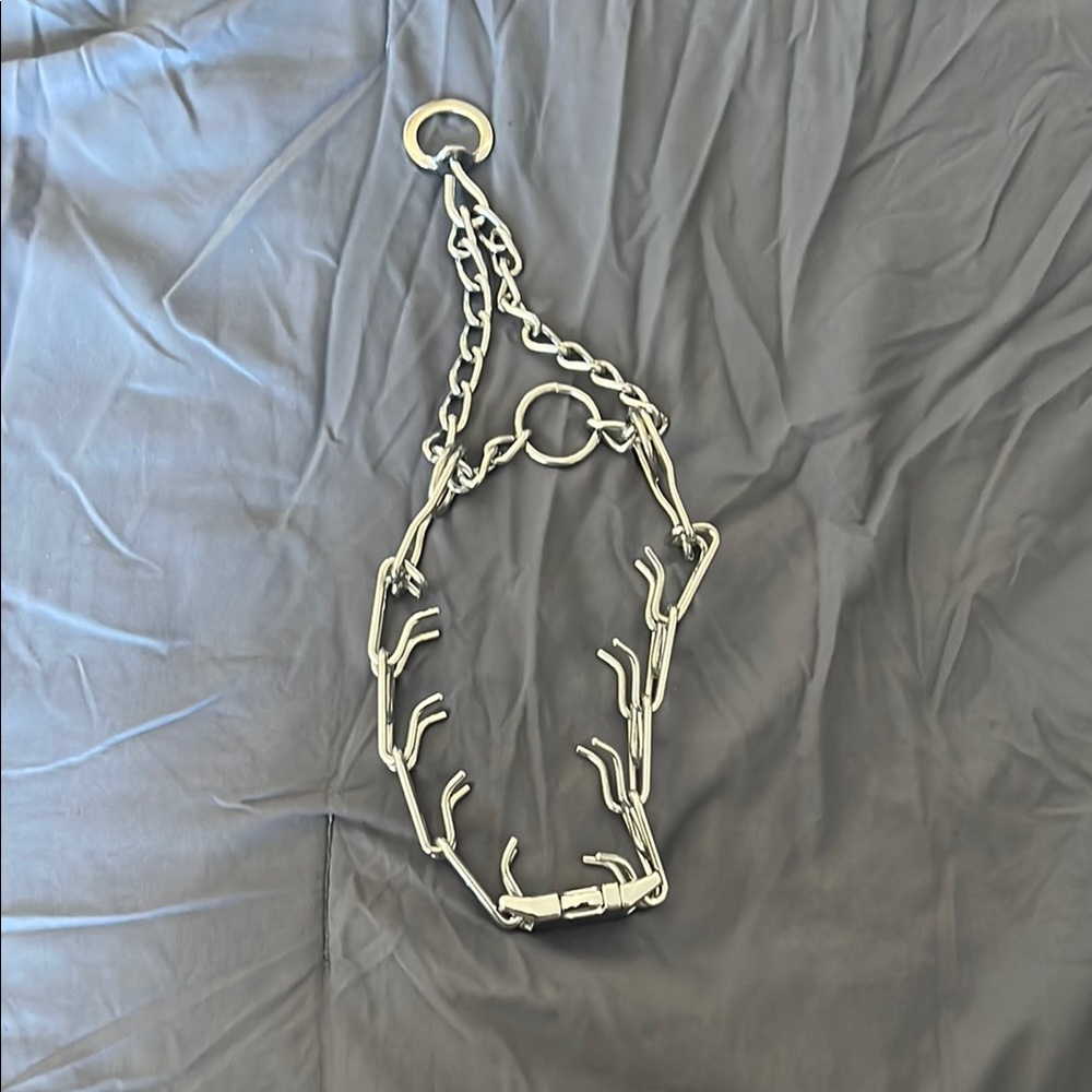Silver Metal Chain Dog Collar